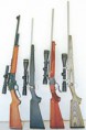 Weapons & Ammunition